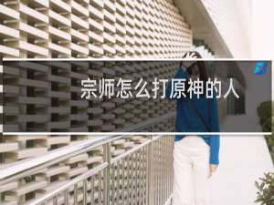 宗师怎么打原神的人