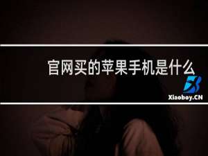 官网买的苹果手机是什么版本