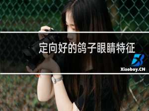 定向好的鸽子眼睛特征