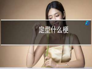 定型什么梗