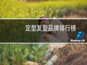 定型发型品牌排行榜
