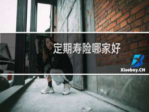 定期寿险哪家好