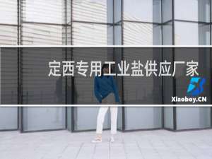 定西专用工业盐供应厂家