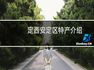定西安定区特产介绍（定西安定区特产列表）