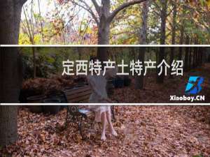 定西特产土特产介绍