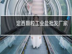 定西颗粒工业盐批发厂家