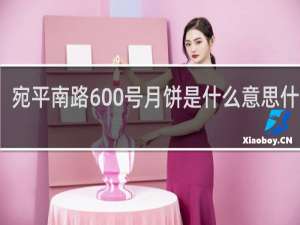宛平南路600号月饼是什么意思什么梗