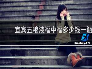 宜宾五粮液福中福多少钱一瓶