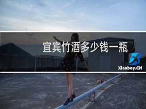 宜宾竹酒多少钱一瓶
