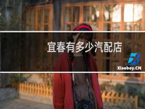 宜春有多少汽配店