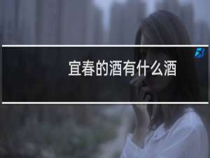 宜春的酒有什么酒