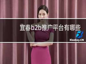 宜春b2b推广平台有哪些