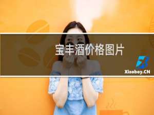 宝丰酒价格图片