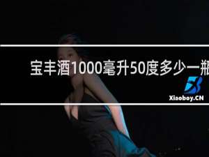 宝丰酒1000毫升50度多少一瓶