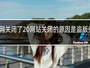 宝书网关闭了 网站关闭的原因是盗版侵权什么梗