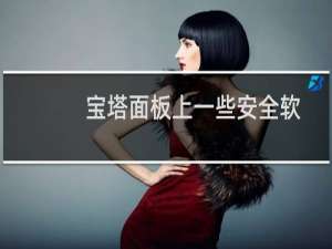 宝塔面板上一些安全软件 请帮忙安装下 谢谢