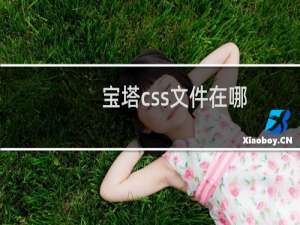 宝塔css文件在哪