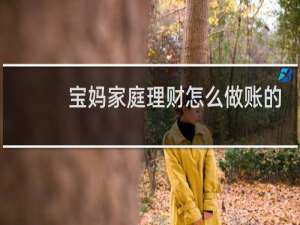 宝妈家庭理财怎么做账的