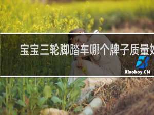 宝宝三轮脚踏车哪个牌子质量好