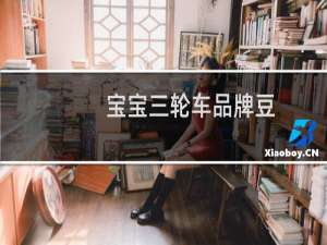 宝宝三轮车品牌豆