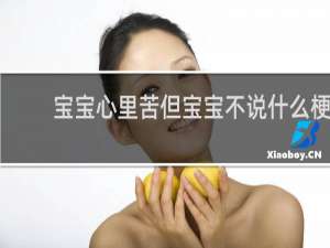 宝宝心里苦但宝宝不说什么梗