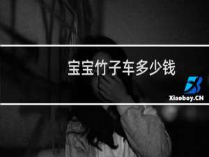 宝宝竹子车多少钱