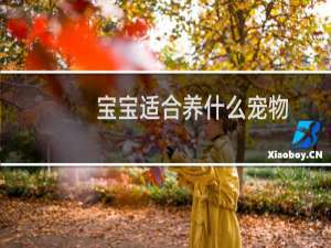 宝宝适合养什么宠物