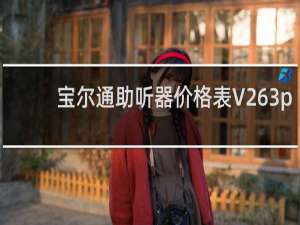 宝尔通助听器价格表V263p