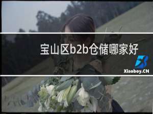 宝山区b2b仓储哪家好