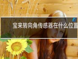 宝来转向角传感器在什么位置