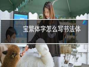 宝繁体字怎么写书法体