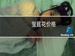 宝莛花价格