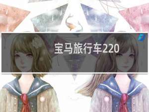 宝马旅行车220