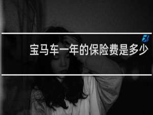 宝马车一年的保险费是多少