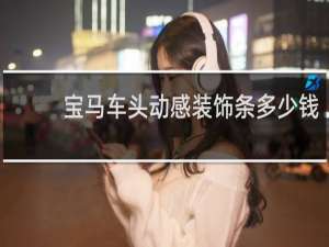 宝马车头动感装饰条多少钱