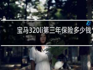 宝马320li第三年保险多少钱