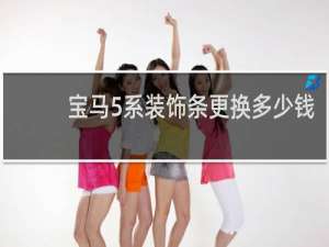 宝马5系装饰条更换多少钱