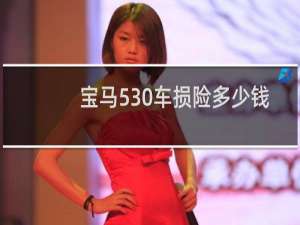 宝马530车损险多少钱