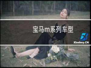 宝马m系列车型（宝马m系）
