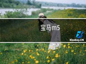 宝马m5：宝马新款M5路试谍照图片海外曝光，有望年内上市