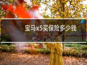 宝马x5买保险多少钱