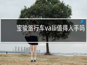 宝骏旅行车valli值得入手吗