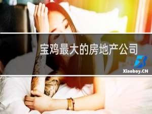 宝鸡最大的房地产公司