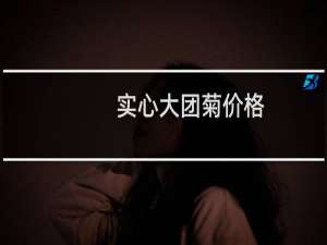 实心大团菊价格