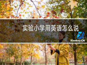 实验小学用英语怎么说