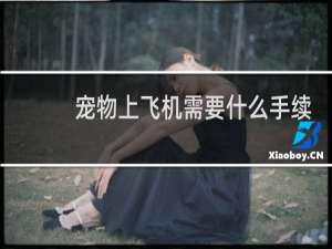 宠物上飞机需要什么手续