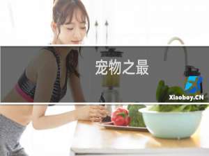 宠物之最