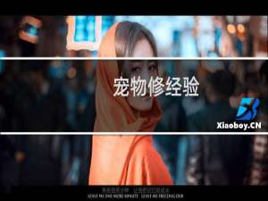 宠物修经验