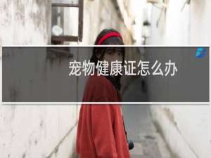 宠物健康证怎么办
