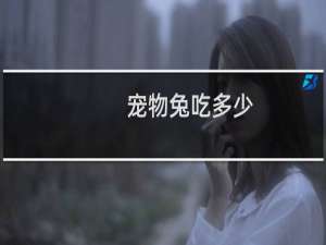 宠物兔吃多少